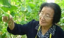 娱乐吃瓜酱学不进去了,学不进去了，揭秘学习困境背后的娱乐诱惑