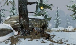 白树最新爆料,揭秘娱乐圈惊人内幕